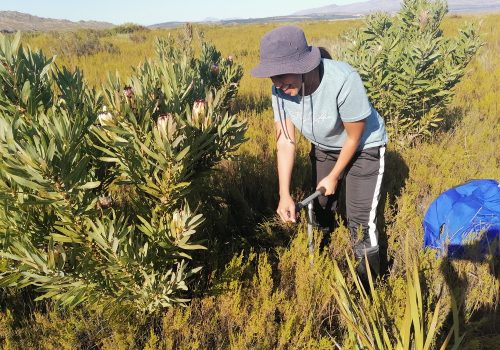 Full Circle: My Path from Volunteering, to Interning, to becoming a Scientist