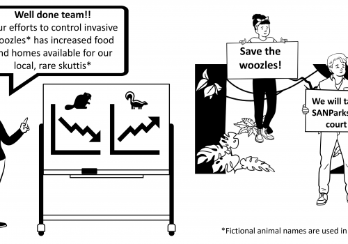 Making science less sciency: the importance of communicating science effectively to the public