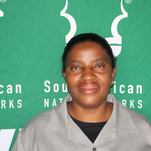 Lindiwe Sibuyi