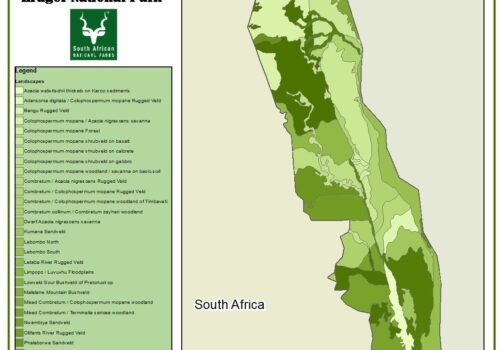 Kruger NP Landscapes