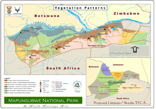 Mapungubwe NP Vegetation