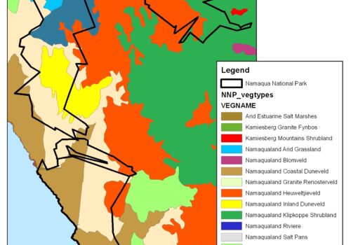 Namaqua National Park Vegetation 2013