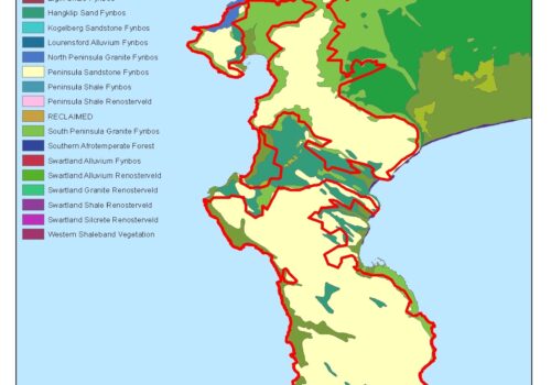 Table Mountain National Park Vegetation 2013