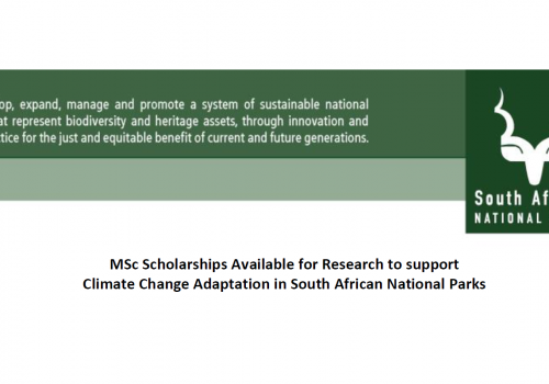 MSc Scholarships Available for Research to support Climate Change Adaptation in South African National Parks