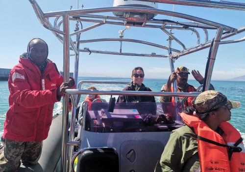Biodiversity monitoring in Robben Island Marine Protected Area