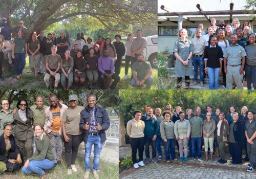 Conversations about biodiversity data management – a roadshow to the four Scientific Services research nodes