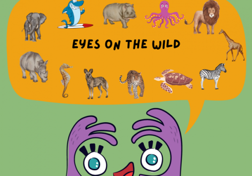 Eyes on the Wild: Visual Data in SANParks