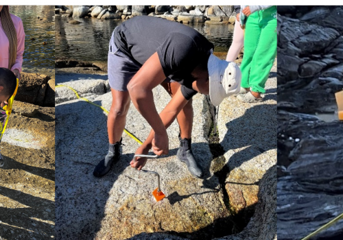 Living on the edge: the importance of monitoring rocky shores