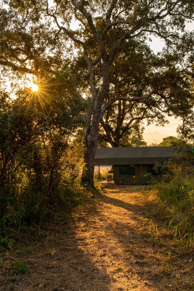 kruger-untamed-2