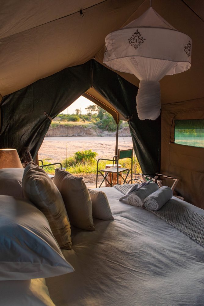 kruger-untamed-3