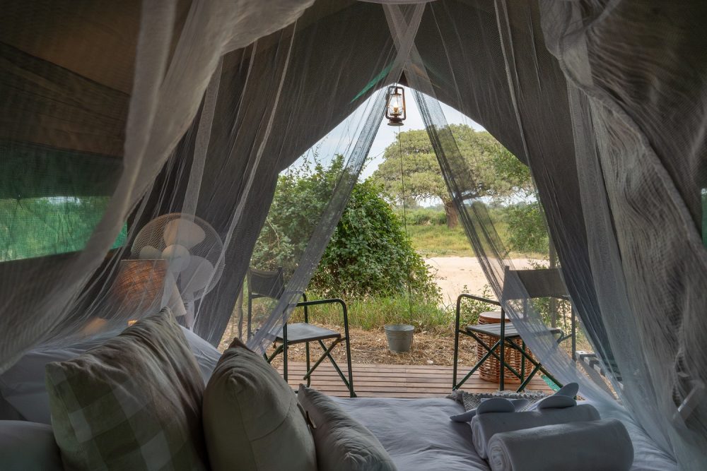 kruger-untamed-8