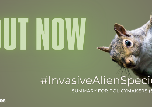Global Assessment on Invasive Alien Species and their Control – Effective Management of Invasive Alien Species in Protected Areas is Possible