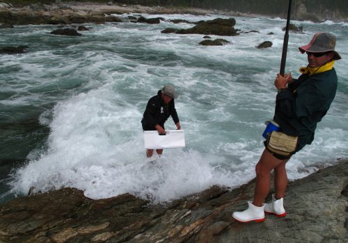 Sport Fishing Tournaments in National Parks: Striking a Balance Between Recreation and Conservation
