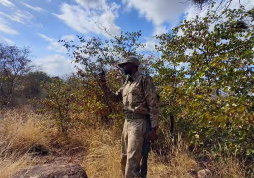 What’s in a name? An analysis of the home towns of Kruger rangers