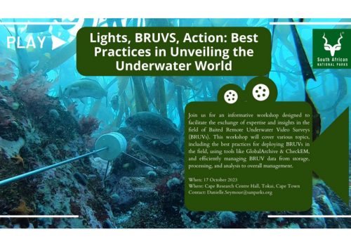 Lights, BRUVS, Action: Best Practice Workshop at Cape Research Centre