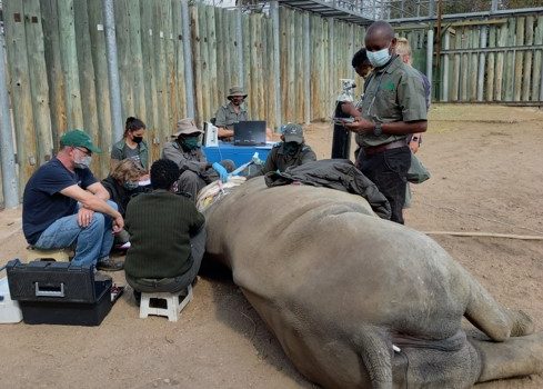 Veterinary Wildlife Services’ research highlights