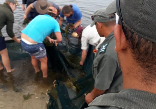 Twelve good research years: A collaboration between SANParks, Rhodes’ Ichthyology and Fisheries Science Department and the South African Institute for Aquatic Biodiversity