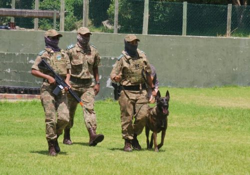 Sea, Air and Mountain Special Operations Team and Canine Unit