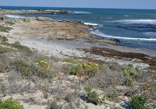 Waves of change: A holistic Management Plan to shape the future of the Namaqua National Park Marine Protected Area
