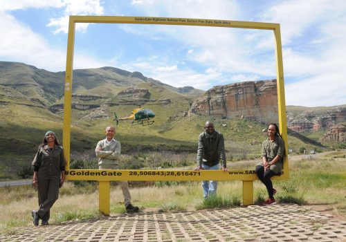 Aerial census of large herbivores in Golden Gate Highlands National Park