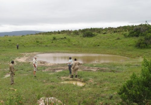 SANParks contribution to conserving freshwater and estuarine ecosystems