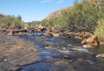 Creating an ecological corridor between the Tankwa Karoo and the Cederberg Wilderness Area