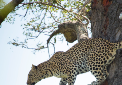 Environmental policy: a duty of care to people and nature