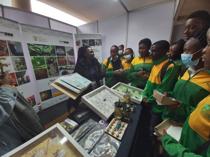 Learning something new in the Skukuza Biological Reference Collection