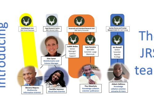 Introducing the new JRS project team