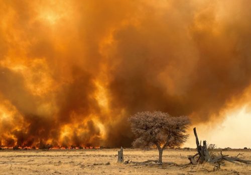 Arid parks on fire: Mokala National Park and Kgalagadi Transfrontier Park