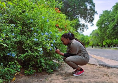 Interns and junior scientists in Kruger: Esi Bossman