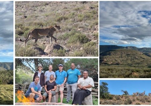 Reflection, deliberation and co-learning at Mountain Zebra National Park’s annual Science-Management meeting in December 2024