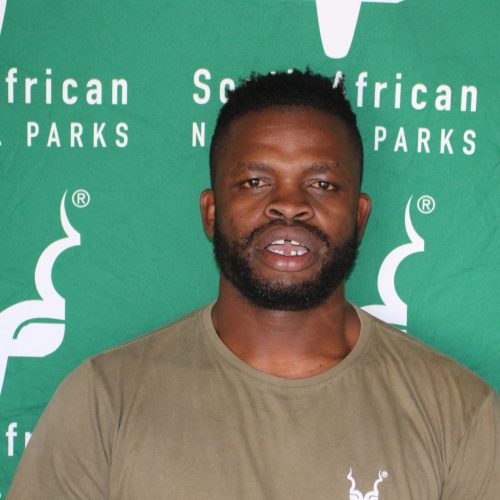 Kulani Mabuza