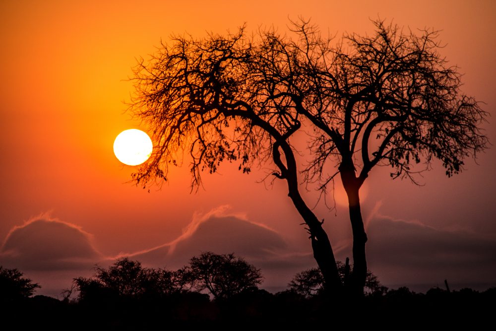 Satara_Sunset_Ali