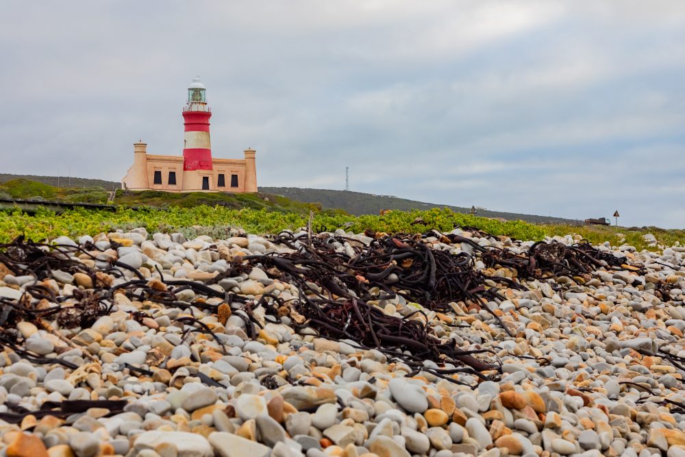 SANPARKS - AGULHAS - Cape Agulhas Lighthouse-251008-80