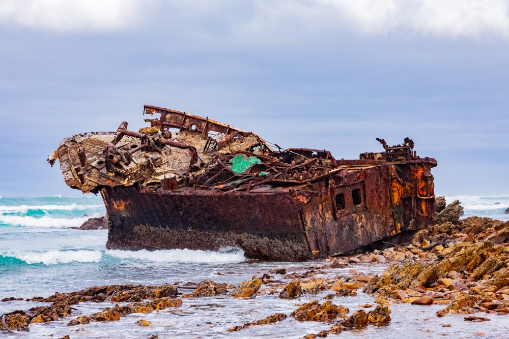 SANPARKS - AGULHAS - Meisho Maru Shipwreck-251008-115