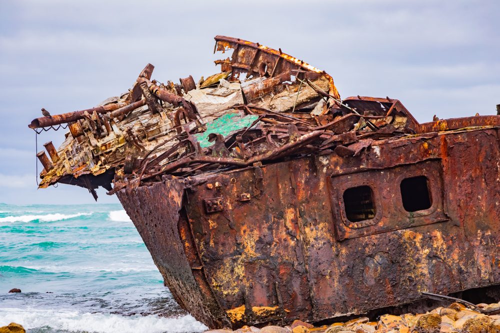 SANPARKS - AGULHAS - Meisho Maru Shipwreck-251008-120