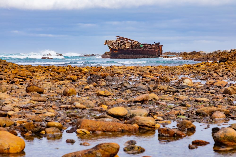 SANPARKS - AGULHAS - Meisho Maru Shipwreck-251008-89