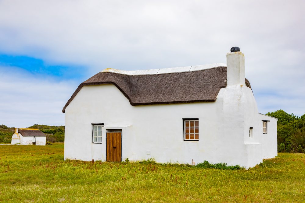 SANPARKS - AGULHAS - Rhenosterkop-251008-107