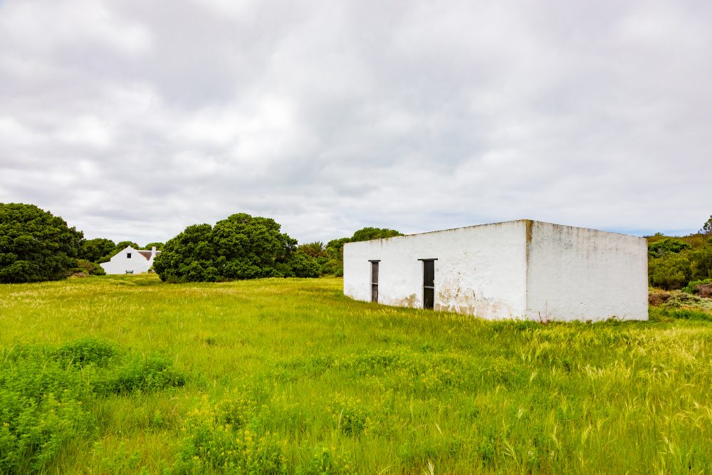 SANPARKS - AGULHAS - Rhenosterkop-251008-11