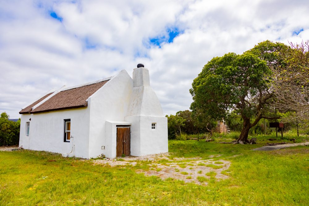 SANPARKS - AGULHAS - Rhenosterkop-251008-140