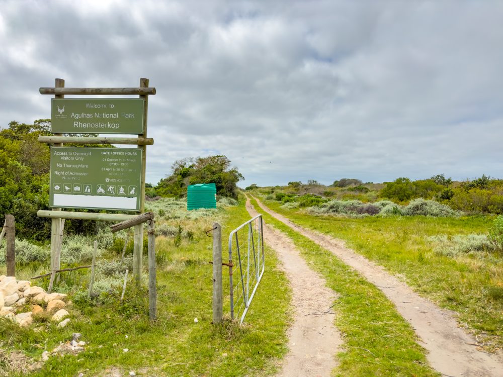 SANPARKS - AGULHAS - Rhenosterkop-251008-2