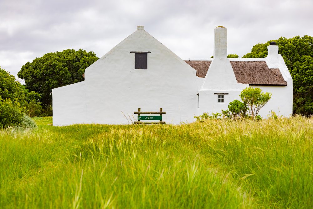 SANPARKS - AGULHAS - Rhenosterkop-251008-21