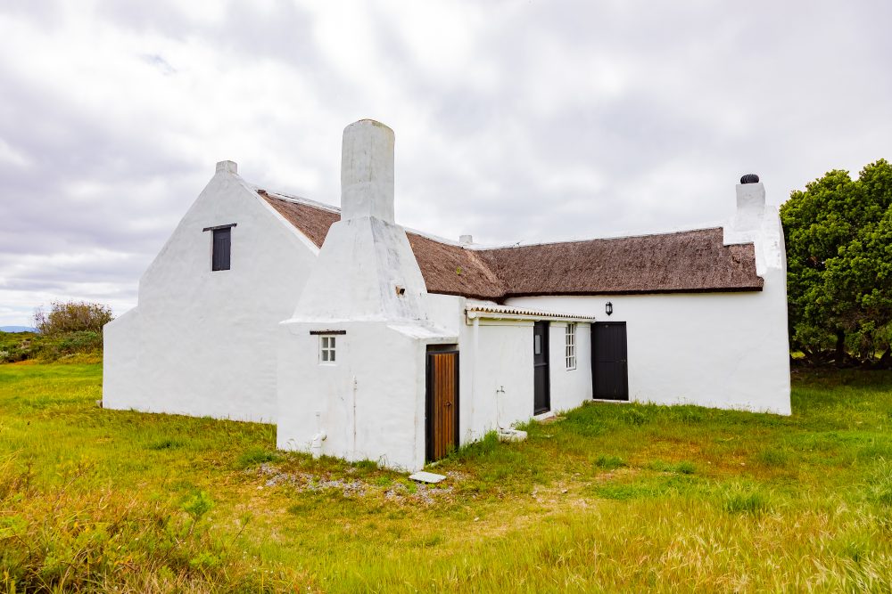 SANPARKS - AGULHAS - Rhenosterkop-251008-30