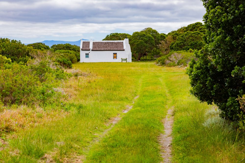 SANPARKS - AGULHAS - Rhenosterkop-251008-56