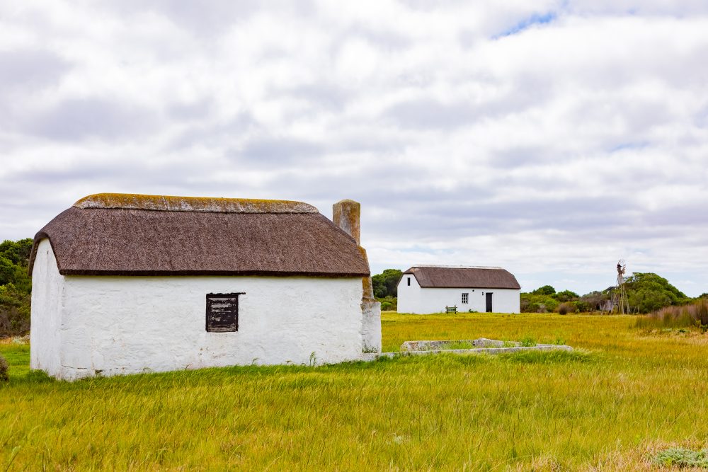 SANPARKS - AGULHAS - Rhenosterkop-251008-60