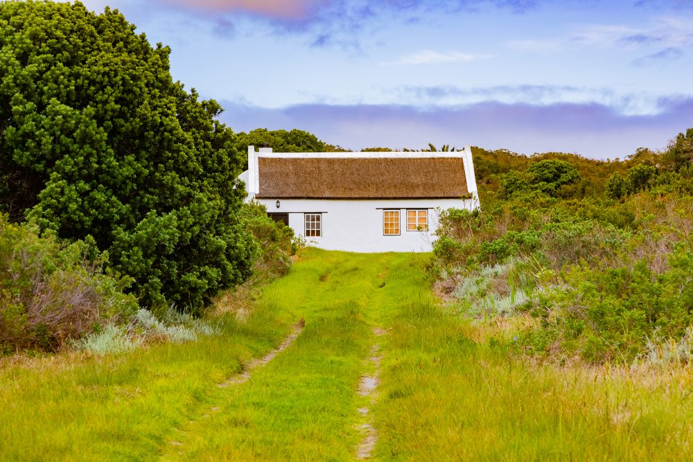 SANPARKS - AGULHAS - Rhenosterkop-251008-64