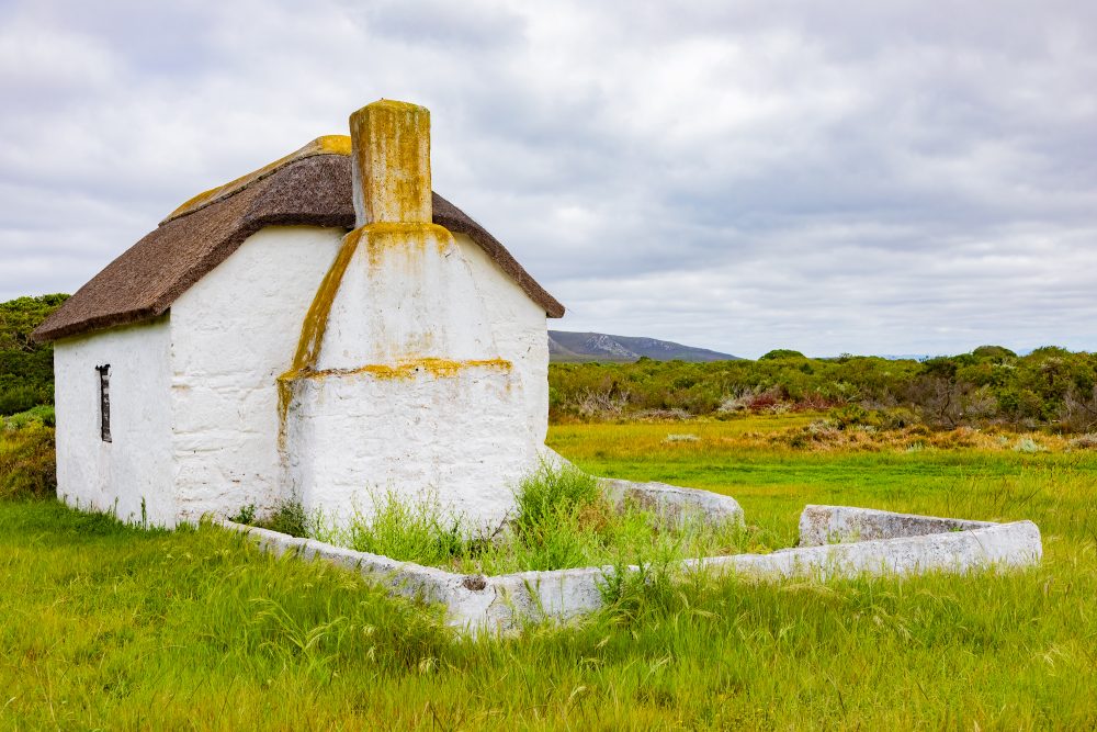 SANPARKS - AGULHAS - Rhenosterkop-251008-70