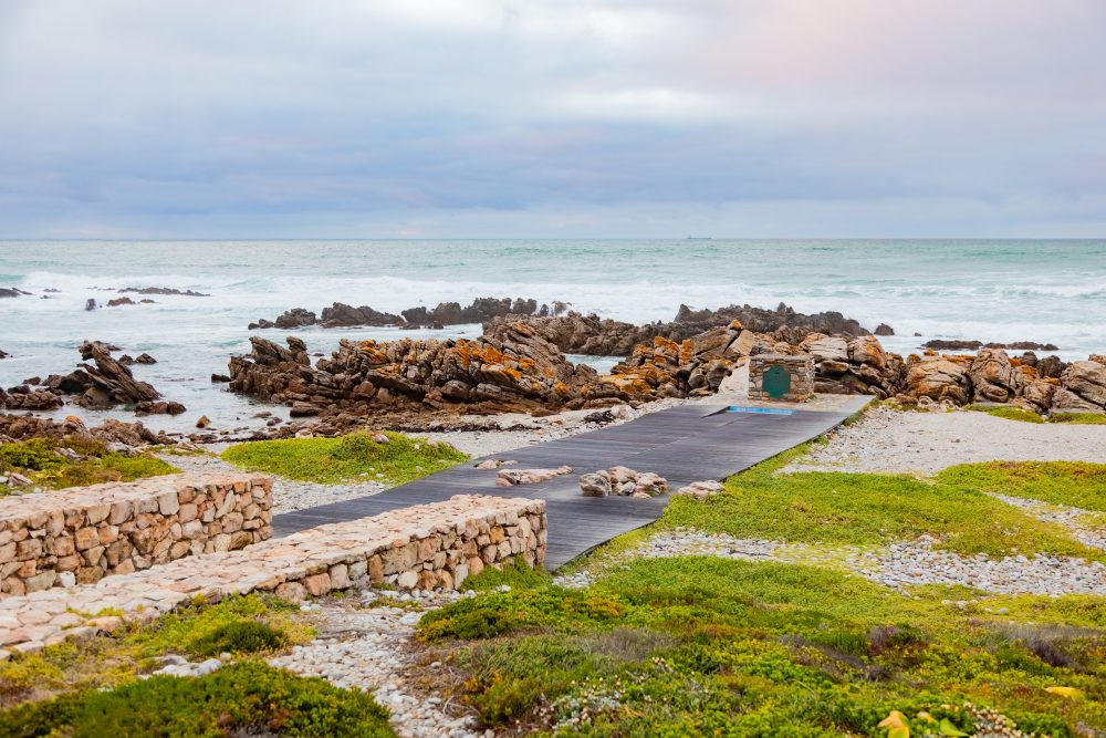 SANPARKS - AGULHAS - Southern Tip of Africa-251008-39