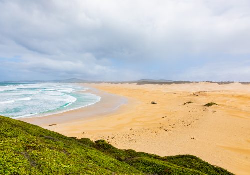 Addo Elephant National Park Marine Protected Area
